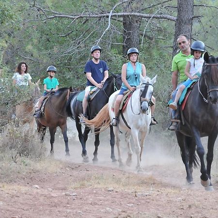 Alojamientos Rural Tejerina Arroyo Frio Eksteriør billede