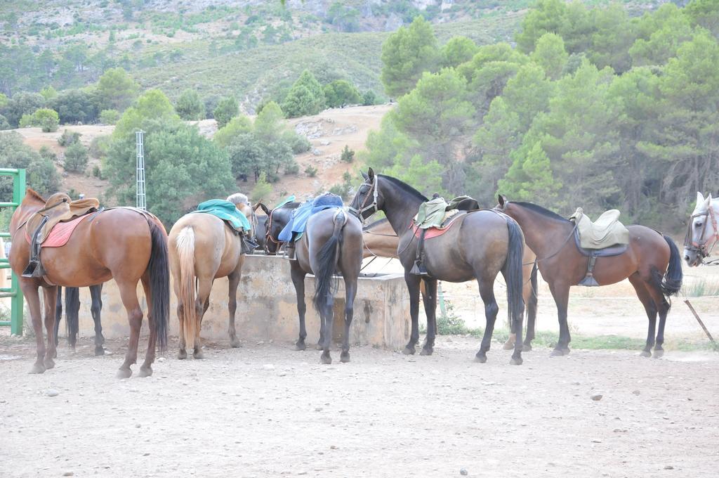 Alojamientos Rural Tejerina Arroyo Frio Eksteriør billede